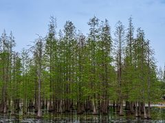 -白鹭湾湿地公园