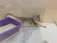 -野马渡文体中心游泳·健身