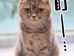 -大碗先生(望云国际广场步步高广场店)