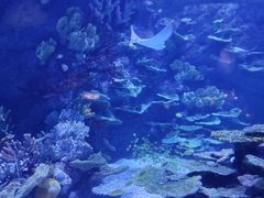 -欢乐海岸海洋奇梦馆