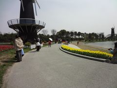 上海鲜花港03-上海鲜花港