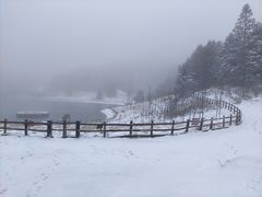 -武陵山森林公园