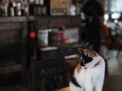 -BUND·FIVE外滩5号(天际店)