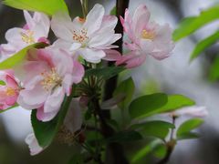 -上海吴淞炮台湾国家湿地公园