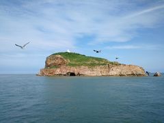 -海驴岛(荣成市)