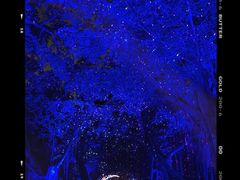 -胡里山炮台