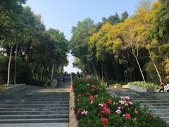 -深圳国际园林花卉博览园