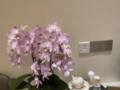 -德兴show鲜·蒸汽海鲜火锅餐厅(格创悦里店)