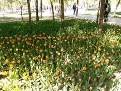 -长春公园(普阳街道)