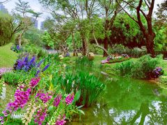 -人民公园(罗湖区)