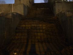 -唐城墙遗址公园