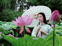 -陈家山荷花公园