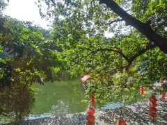 -荔湾湖公园