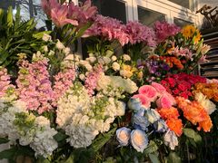 -FEI FEI FLOWER鲜花店·气球派对·宝宝宴布置(虹口德必运动Loft店)
