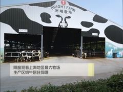 -光明牧业有限公司金山种奶牛场
