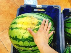 -元初食品(幸福e家小区店)