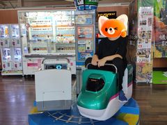 -岚山嵯峨野观光小火车