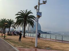 -野狸岛