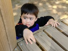 -蒙蒙狮蒙台梭利儿童之家
