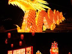 -长鹿旅游休博园