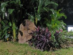 -人民公园(罗湖区)