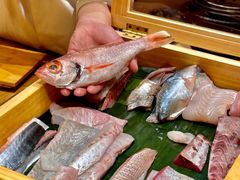 -镹·鱼料理  国产鱼使用店