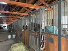 -北京群众马术培训基地