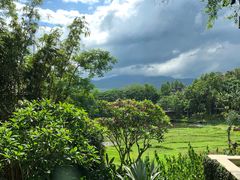 -四季酒店下午茶