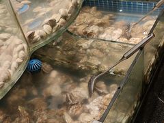 -钱小奴创意自助餐厅·原切谷饲安格斯畅吃(绍兴新昌万达店)