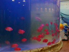 -印象·浅水湾(百乐门大厦店)