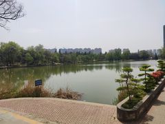 -渭滨公园