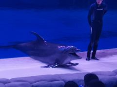 -华夏文旅海洋公园