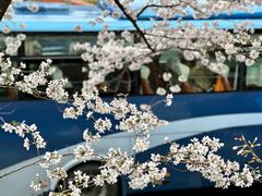 -南浦大桥长途旅游客运站