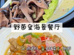 -野菌皇海景野生菌火锅(滨海大道店)