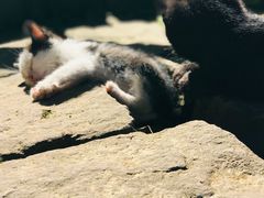 -驿舍·民國老营房院子私房菜(科学会堂店)