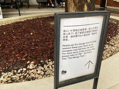 -大馆(前中区警署建築群)