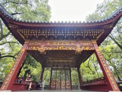-汇龙潭