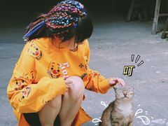 -书隐楼
