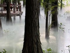 -东湖落雁景区