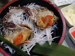 -渔娘渔家丹东海鲜(东直门店)