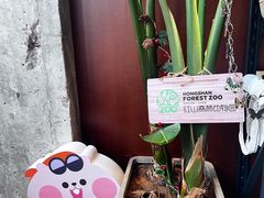 -LOOOAD COFFEE进度条(D9街区店)