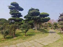 -南宁南湖公园