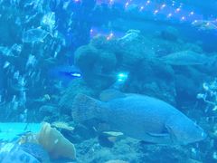 -成都浩海立方海洋公园