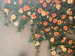 -泉乐坊步行街(烟酒特产平价超市店)