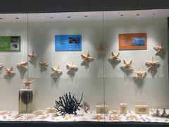 -西安曲江海洋极地公园
