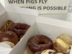 -WHEN PIGS FLY当猪飞