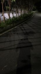 -佛灵湖水上乐园
