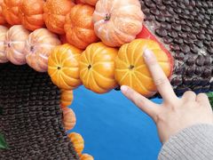 -兰陵国家农业公园