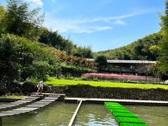 -宁波浙东大竹海景区