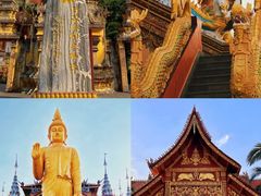 -西双版纳原始森林公园